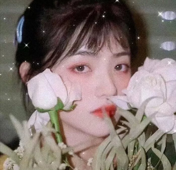情海春光